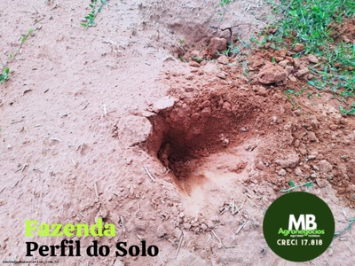 Fazenda, 340 hectares - Foto 3