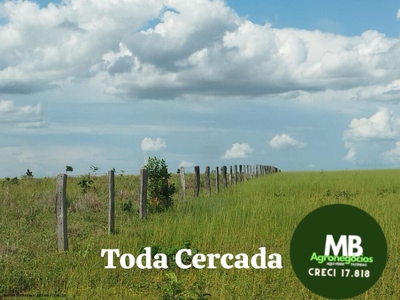 Fazenda, 340 hectares - Foto 5