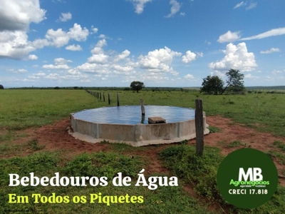 Fazenda, 340 hectares - Foto 2