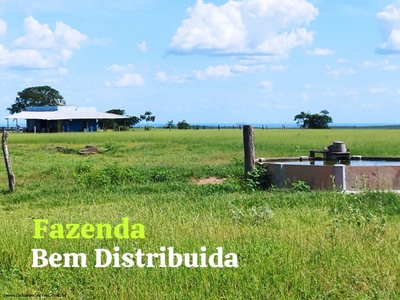 Fazenda, 340 hectares - Foto 4