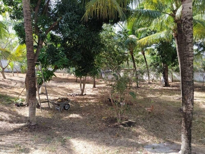 Casa, 5 quartos, 130 m² - Foto 2