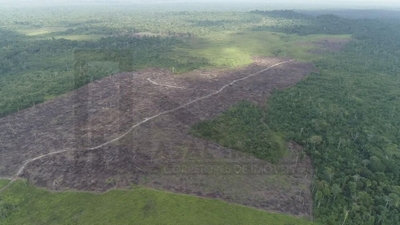 Fazenda, 500 m² - Foto 4