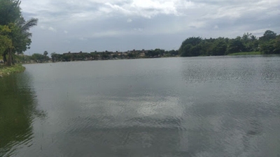 Terreno, 388 m² - Foto 4