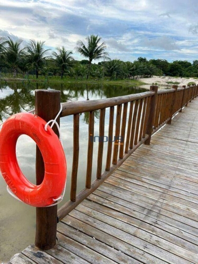 Sítio, 9 quartos, 3 hectares - Foto 3