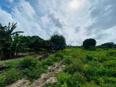 Terreno, 3000 m² - Foto 3