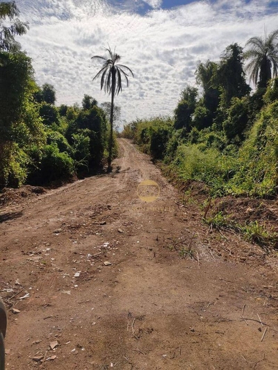 Sítio, 2 hectares - Foto 2