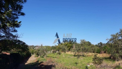 Terreno, 2132 m² - Foto 5