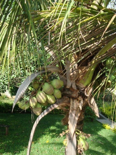 Casa, 3 quartos, 336 m² - Foto 3