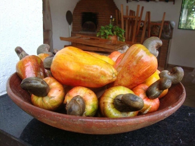 Casa, 3 quartos, 336 m² - Foto 4