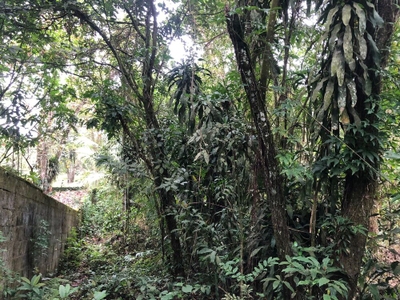 Chácara, 2 quartos, 1000 m² - Foto 1