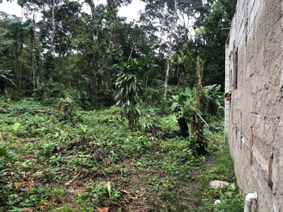 Chácara, 2 quartos, 1000 m² - Foto 4