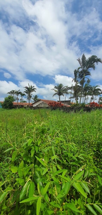 Terreno, 475 m² - Foto 4