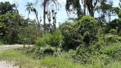 Terreno, 5080 m² - Foto 3