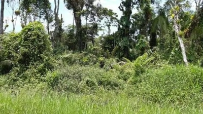 Terreno, 5080 m² - Foto 1