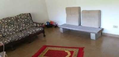 Chácara, 3 quartos, 2450 m² - Foto 3