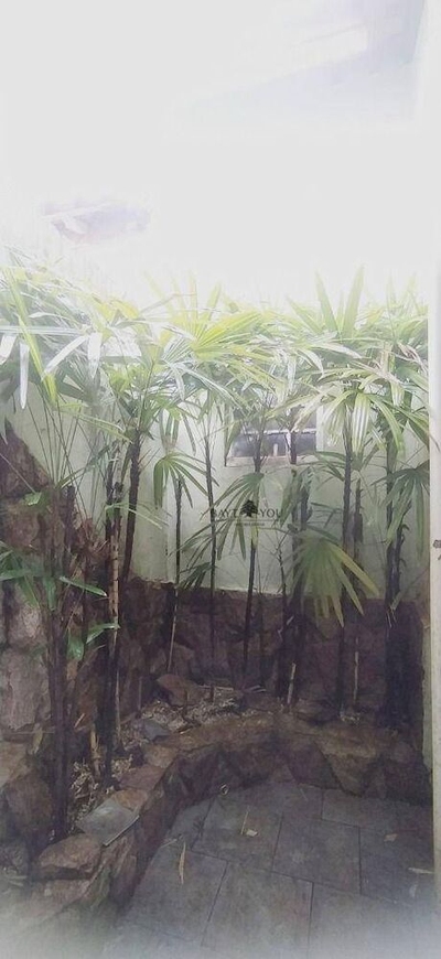 Casa, 4 quartos, 156 m² - Foto 3