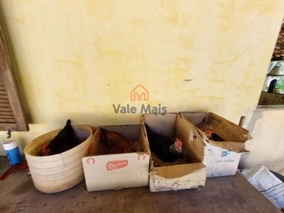 Fazenda-Sítio-Chácara, 147 hectares - Foto 2