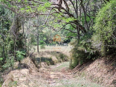 Fazenda-Sítio-Chácara, 147 hectares - Foto 4