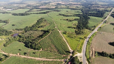 Fazenda-Sítio-Chácara, 288 hectares - Foto 4