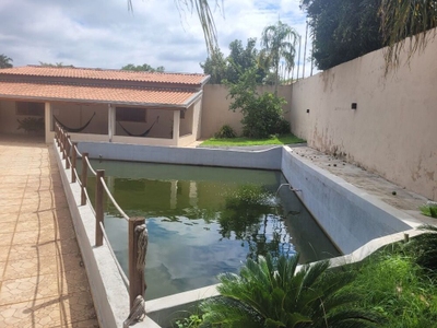 Chácara, 2 quartos, 1100 m² - Foto 3