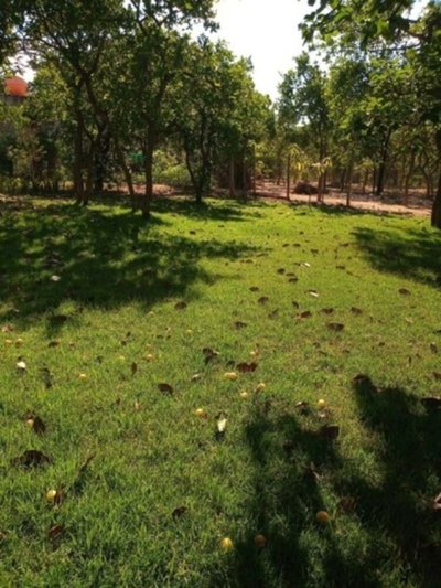 Terreno, 1000 m² - Foto 2