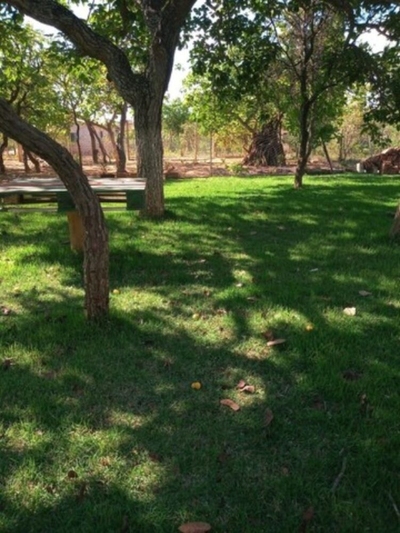 Terreno, 1000 m² - Foto 3