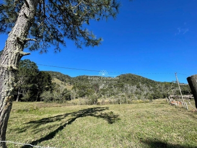 Terreno, 4 hectares - Foto 1