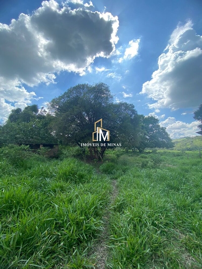 Terreno, 3 hectares - Foto 5