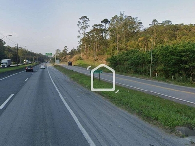 Terreno, 6 hectares - Foto 4