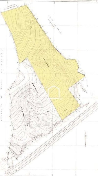 Terreno, 6 hectares - Foto 2