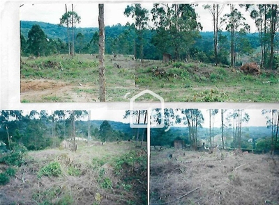 Terreno, 1550 m² - Foto 4