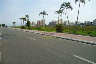 Terreno, 4 hectares - Foto 3