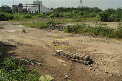 Depósito-Galpão - Foto 1