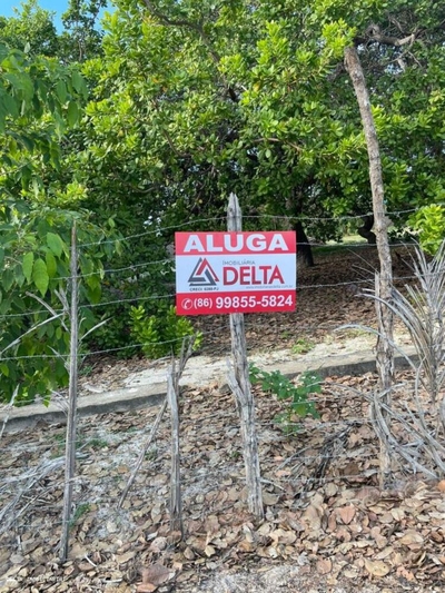 Depósito-Galpão - Foto 4