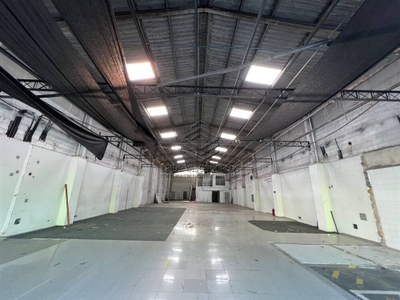 Sala-Conjunto, 800 m² - Foto 4