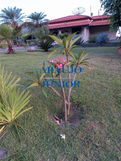 Chácara, 3 quartos - Foto 3