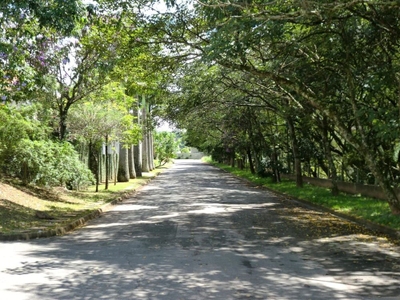 Casa, 5 quartos, 800 m² - Foto 4