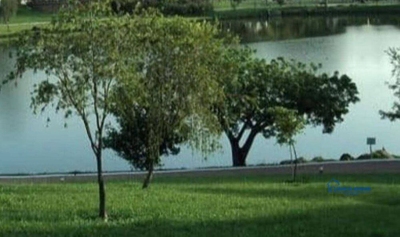 Casa de Condomínio, 5 quartos - Foto 2