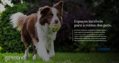 Terreno, 400 m² - Foto 2