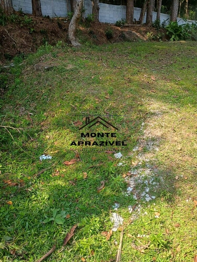 Terreno, 300 m² - Foto 3