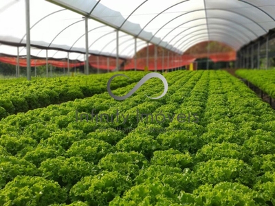 Fazenda-Sítio-Chácara, 8 quartos - Foto 1