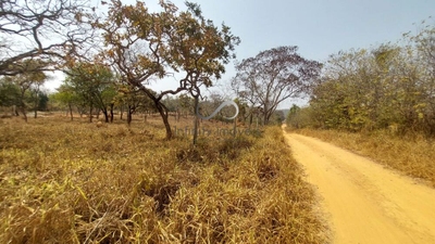 Terreno, 2 hectares - Foto 5