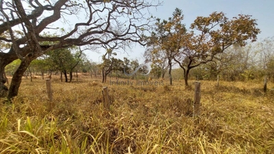 Terreno, 2 hectares - Foto 2