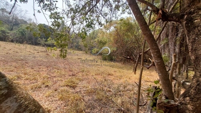 Terreno, 2 hectares - Foto 4