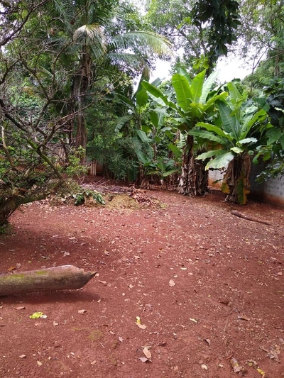 Chácara, 3 quartos - Foto 2