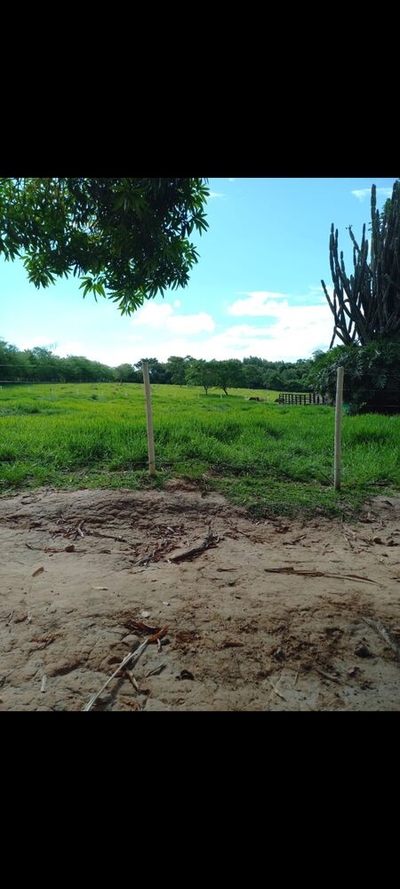 Fazenda-Sítio-Chácara, 10 hectares - Foto 4