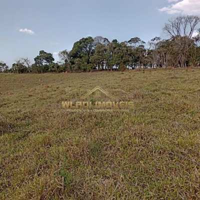 Fazenda-Sítio-Chácara, 6 m² - Foto 4