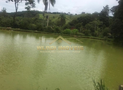 Chácara, 4 hectares - Foto 3