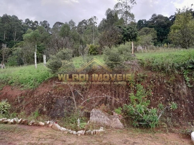 Chácara, 3 quartos, 3 hectares - Foto 2