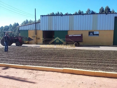 Fazenda-Sítio-Chácara, 800 m² - Foto 2